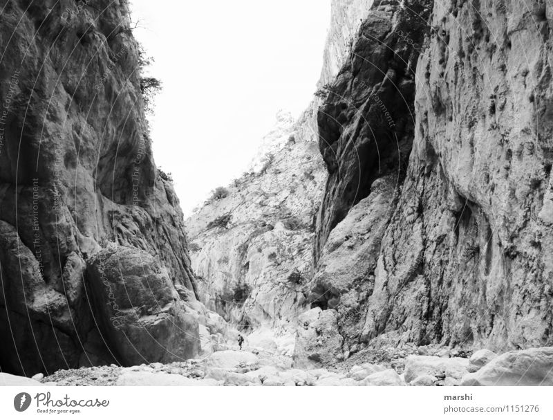 canyon gorroppu Nature Landscape Plant Sky Spring Summer Mountain Canyon Moody Hiking Stone Deep Height Sardinia Travel photography Black & white photo