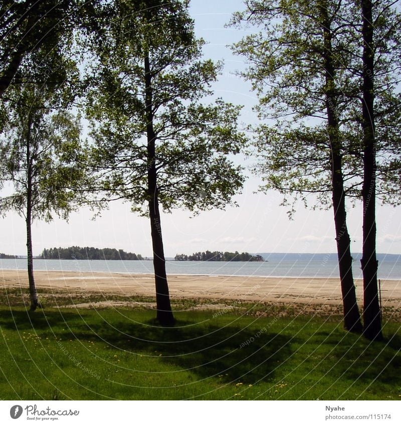 lake idyll Lake Tree Calm Loneliness Beach Water Coast Nature Plant Shadow Idyll Sweden