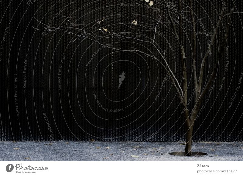 alone in the dark Town Dark Loneliness Tree Leaf Futurism Style Simple Gravel Wall (building) Growth Stand Graphic Nature Modern Reduce Branch Shadow Metal