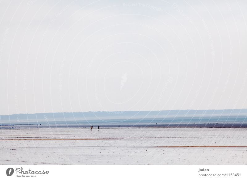 people and sea II. Relaxation Trip Ocean Waves Human being Masculine Feminine Life Environment Landscape Air Spring Coast Beach Bay Port City Fishing boat Horse