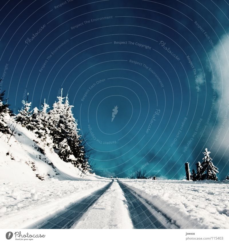 Off to the blue ... Endurance Worm's-eye view Cold Landscape Cross country skiing Cross-country ski trail Furrow Railroad tracks Snow layer Snowscape Fir tree