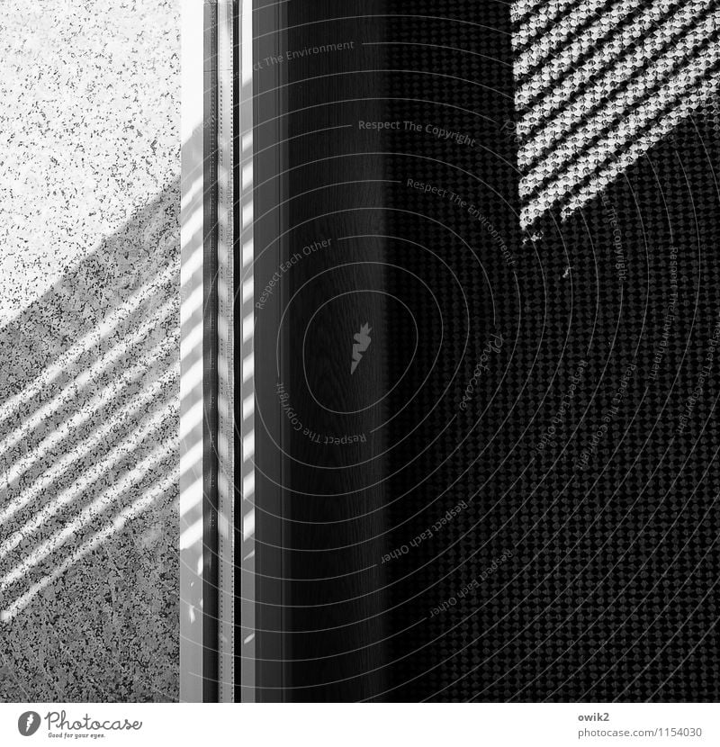 vicino Shadow Shadow play Carpet Pane Window board Line Diagonal Stone Under Emotions Black & white photo Interior shot Close-up Detail Abstract Pattern