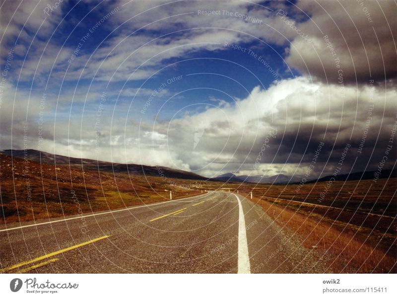 Thunderstorm from the right Vacation & Travel Far-off places Summer Logistics Nature Landscape Plant Sky Clouds Horizon Climate Beautiful weather