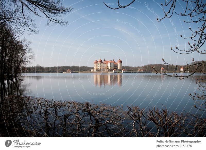 In the frame of the trees Art Museum Sun Spring Beautiful weather Moritzburg Castle Tower Architecture Tourist Attraction Lock Observe Discover Relaxation