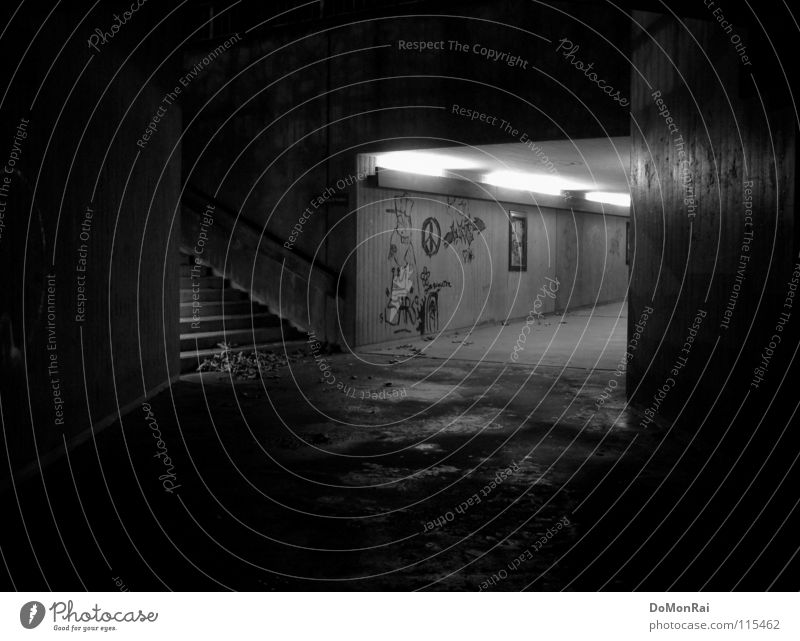 Escape upstairs! Black & white photo Exterior shot Deserted Copy Space top Copy Space bottom Night Artificial light Long exposure Central perspective Rain Leaf