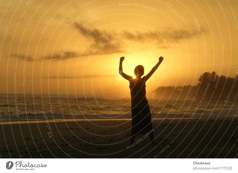 sun canopy Beach Clouds Coast Sri Lanka Palm tree Ocean Vacation & Travel Light Bright Waves White crest Dwarf Joy Dance Shadow Sun Sky Evening Dusk Sand Water