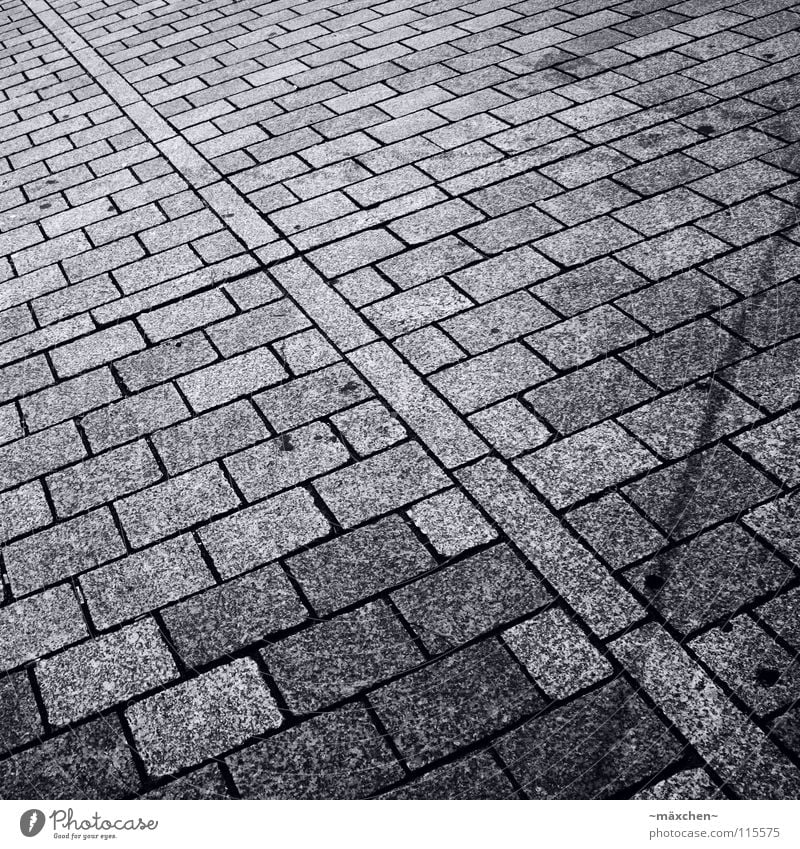 paving stone Black White Diagonal Square Rectangle Progress Two-piece Driving Going Black & white photo Transport Traffic infrastructure Cobblestones Stone B/W