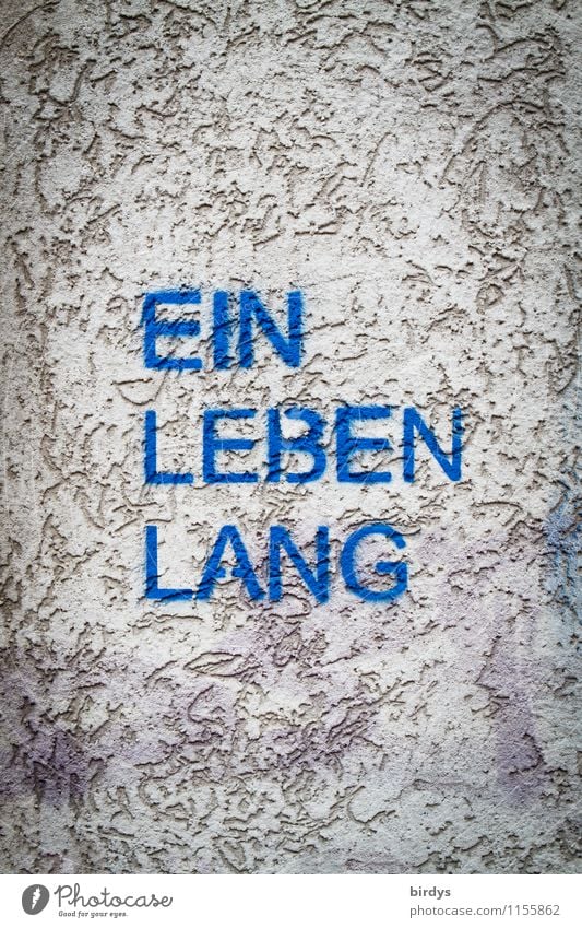 Book cover Biography Lifestyle Wall (barrier) Wall (building) Rendered facade Characters Exceptional Blue Gray Joie de vivre (Vitality) Success Acceptance