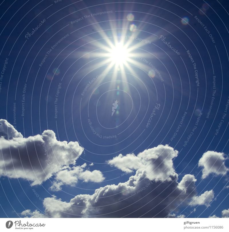 diamonds in the sky Nature Sky Clouds Sun Sunlight Weather Beautiful weather Bright Star (Symbol) Diamond Awareness Celestial bodies and the universe Skyward