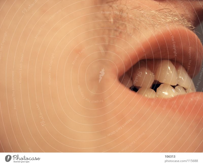 MISBEHAVIOUR Masculine Teeth Argument Aggression Crazy Anger Pain Bite Intimacy Insight False position Dental Dentist Skewed Snarl Trenchant Cleaning