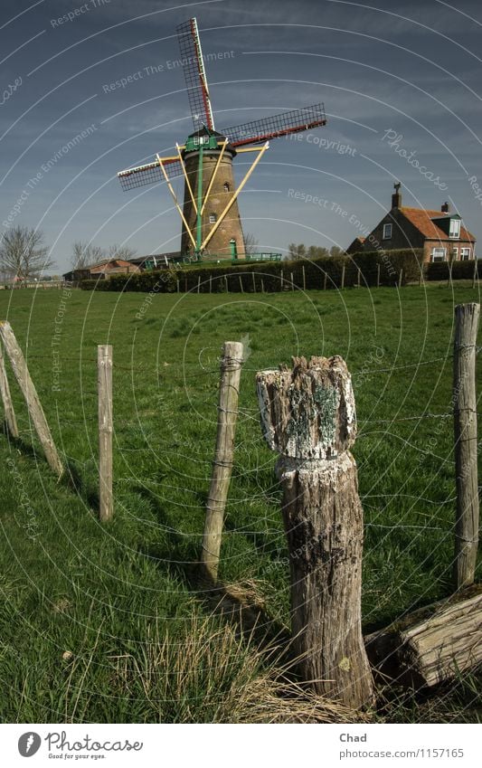 Durable | Holland Cliché Vacation & Travel Tourism Wind energy plant Windmill Nature Spring Grass Meadow House (Residential Structure) Building Fence post