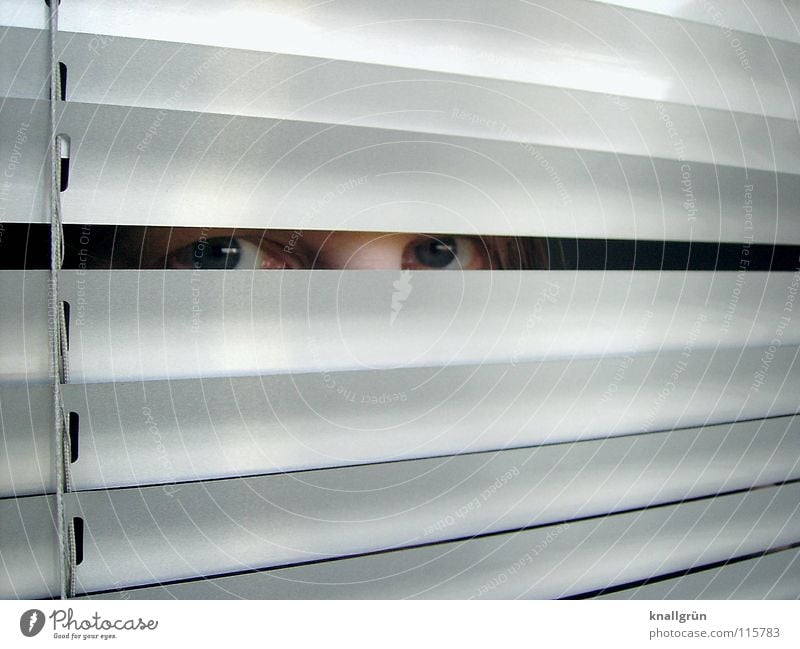 Secret things Venetian blinds Glittering Looking Disk Silver Hide Column Eyes Bright Reflection