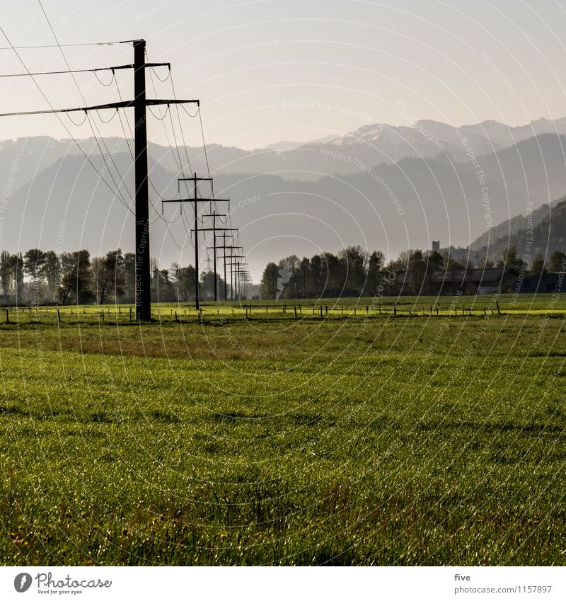 T Environment Nature Landscape Sky Summer Weather Tree Grass Meadow Field Hill Alps Mountain Infinity Warmth Electricity pylon Colour photo Exterior shot