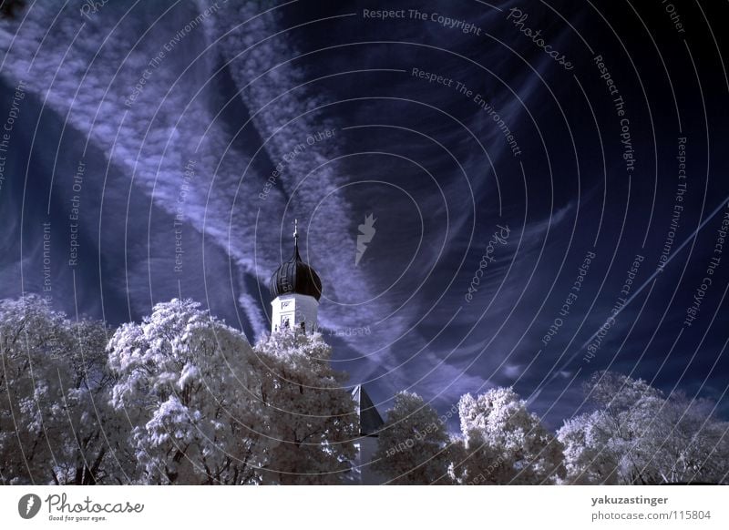 Merry Christmas... Infrared Infrared color White Clouds Tree Cirrus Vapor trail Long exposure Colour Blue Religion and faith Snow