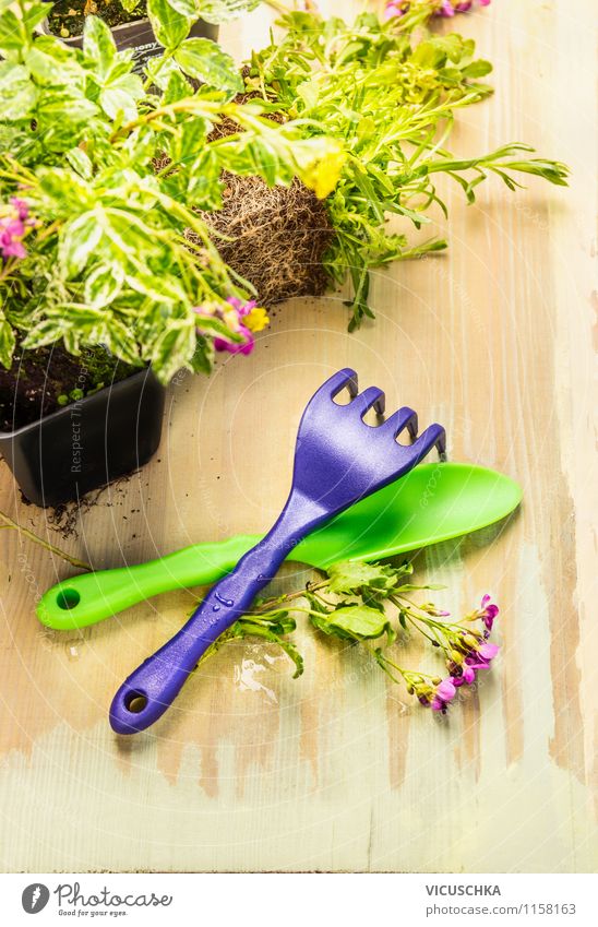 Plant in autumn Style Design Garden Child Nature Spring Summer Autumn Park gardening Equipment Shovel Hoe Root Flowerpot Table Garden plot Holiday season