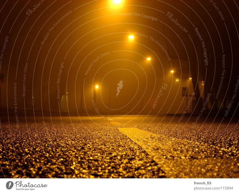 the world at night Night Night shot Long exposure Asphalt Concrete Lantern Lamp Phone box Bus stop Augsburg Fog Light Empty Transport Traffic lane White Yellow