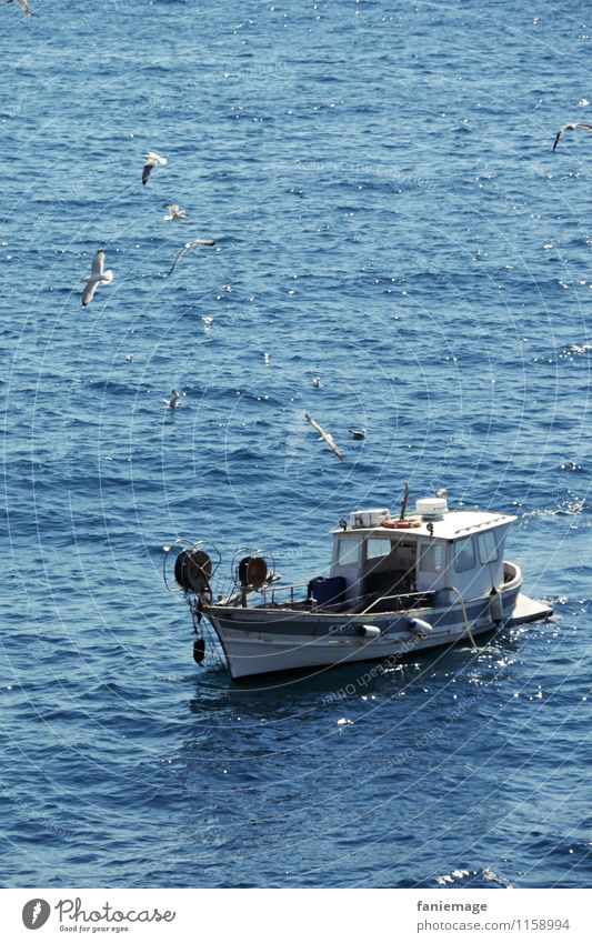 bateau de pêche Environment Nature Landscape Water Beautiful weather Wind Waves Ocean Flying Fishing boat Fishing (Angle) Seagull Marseille Southern France