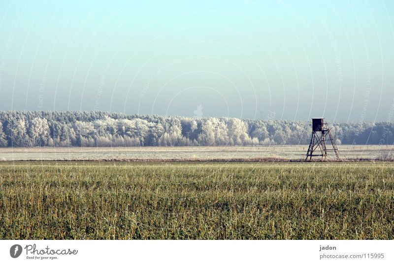 beginning of winter Winter Field Forest Hoar frost Tree Hunting Blind Cold Panorama (View) Calm Brandenburg Sky Frost Beautiful weather Far-off places Snow