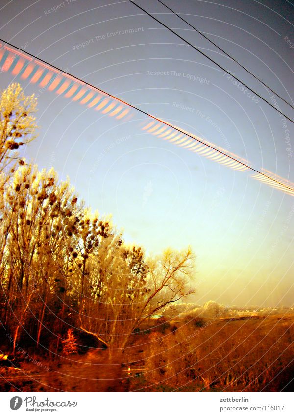 Rail journey north 1 Tree Bushes Winter Hoar frost Immature Railroad Train window Overhead line Light Lamp Reflection Driving Passage Landscape Sky