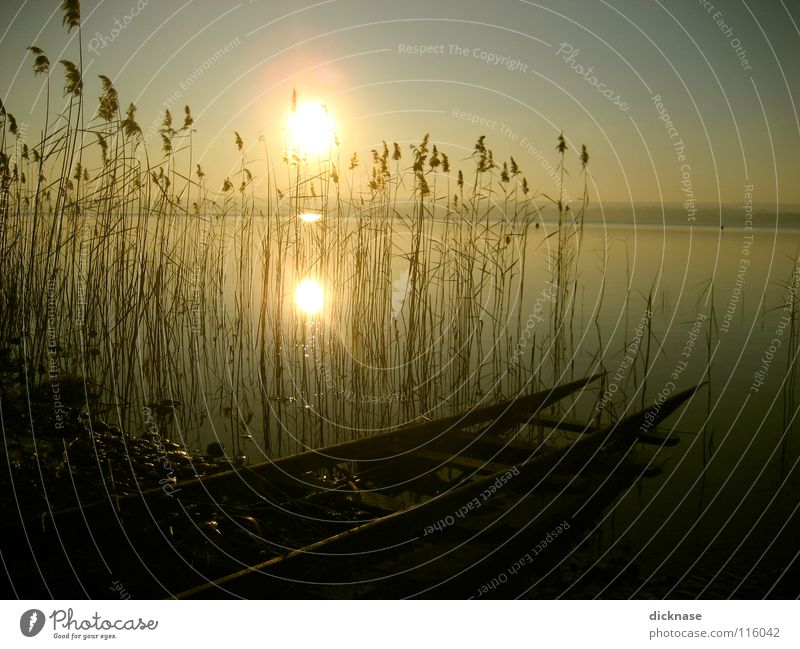 Verträumt™ Lake Footbridge Man Cold Winter Common Reed Relaxation Switch off Dream Forget Bavaria Stay Reflection Think Doomed Deferred Railroad tracks Sun Guy