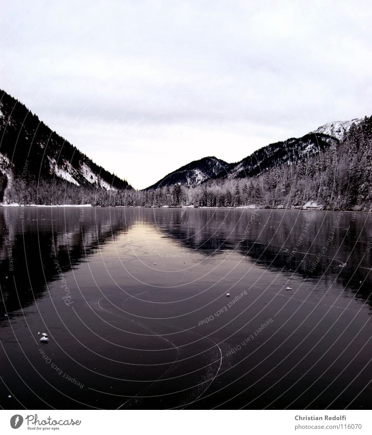 freezing Ice-skating Winter Lake Ice-skates Furrow Mountain lake Reflection Panorama (View) Water ice skating Landscape ice rink Snow Plansee frogs ice track