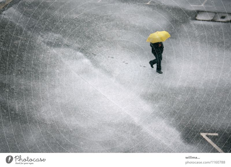 Man walks across the street with umbrella in blowing snow and leaves traces Winter Snow Human being Adults Weather Snowfall Places Umbrella Footprint Cold