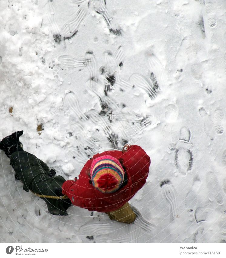 woman and dog II Row Winter Dog White Cold Red Black December Animal Pet 2 Friendship To go for a walk Bound Chained up Together Relationship Loneliness Cap