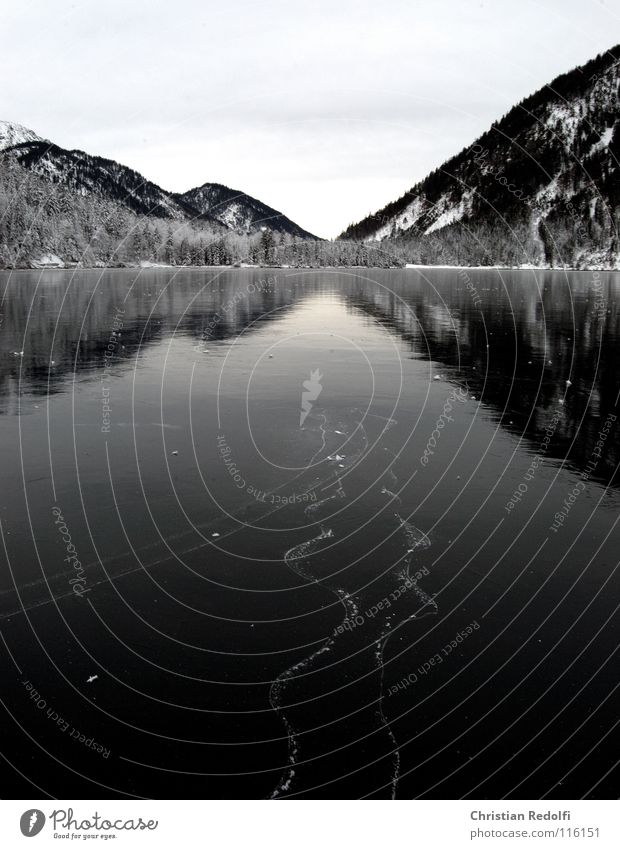 frozen I Ice-skating Winter Lake Ice-skates Furrow Mountain lake Reflection ice skating Landscape ice rink Snow Plansee Water frogs ice track