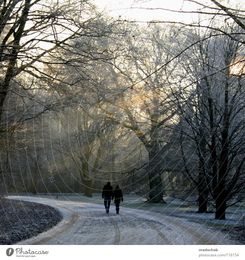 stroll Forest Wood flour Cold Winter To go for a walk Man Woman Masculine Sunday Kitsch Sunset Beautiful Jinxed Dream Fairy tale Going Walking Together To enjoy