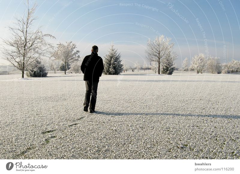 winter walk Cold Winter Hoar frost Loneliness White Man Beautiful Tree Ravensburg Structures and shapes Snow Ice Tracks Walking Shadow Landscape Sky