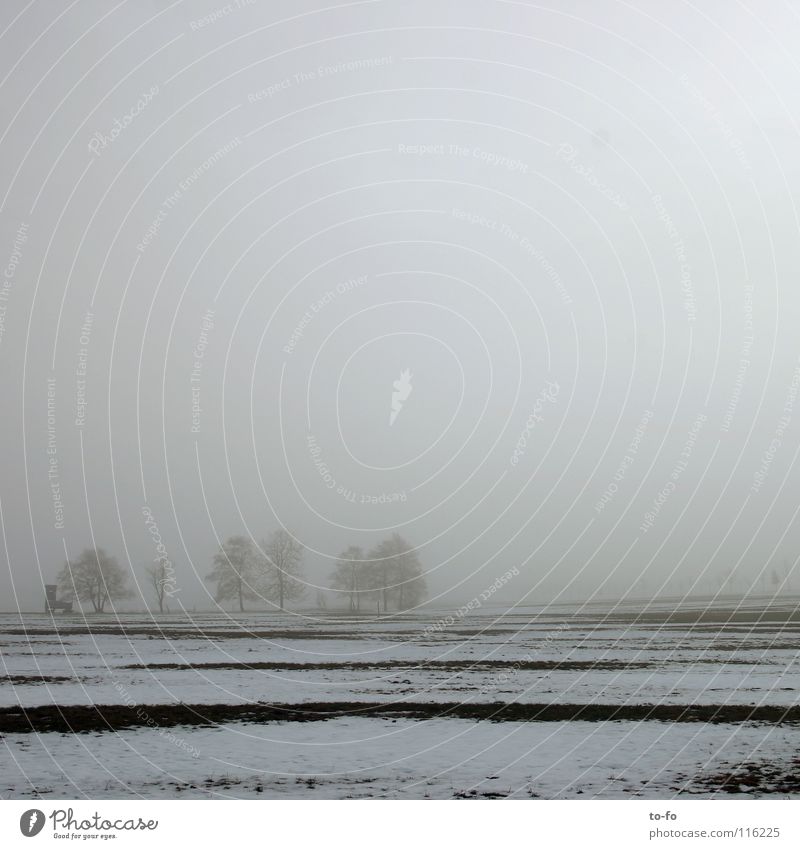 November 2 Fog Gray Gloomy Autumn Field Cold Loneliness Winter Lanes & trails Snow Calm