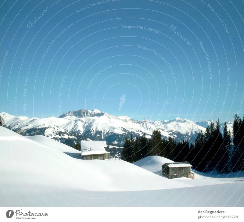 Mountain idyll V Winter February Cold Virgin snow Winter vacation Snow hiking Canton Graubünden Switzerland White Snowdrift Wooden hut Alpine hut Roof Brown