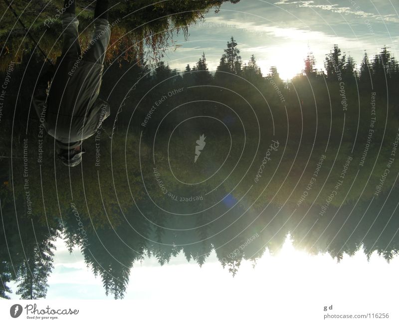 O.K., that's a bit strange now... Lake Reflection Forest Tree Fir tree Fisherman Grass Inverted Green Autumn Sun Fishing (Angle) Blue fishing rod