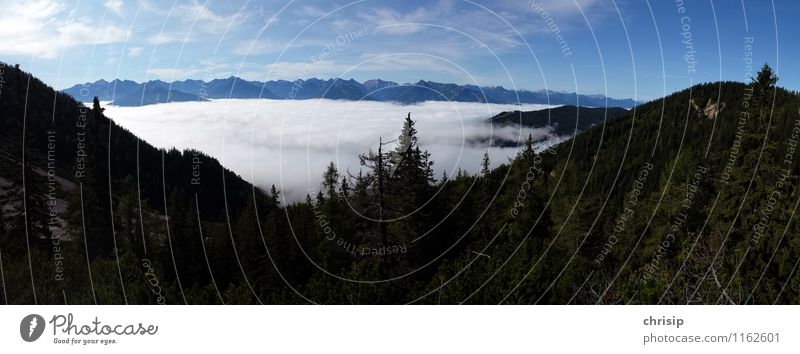 Fog in the valley Environment Nature Landscape Sky Clouds Horizon Plant Tree Hill Alps Mountain Peak Emotions Joy Happy Adventure Discover Relaxation Experience