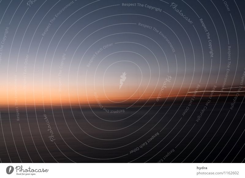 intoxication Harmonious Relaxation Vacation & Travel Far-off places Freedom Summer vacation Ocean Cruise Sailing Air Water Cloudless sky Night sky Horizon