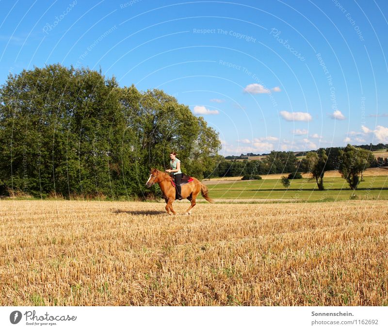 The happiness of this earth ... Ride Feminine Nature Landscape Sky Animal Horse Walking Together Athletic Blue Green Joy Happy Happiness Contentment Enthusiasm