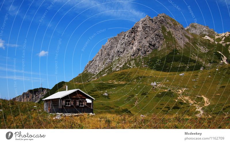 service area Environment Nature Landscape Sky Clouds Summer Beautiful weather Plant Flower Grass Bushes Alps Mountain Peak Austria Hut Old Authentic Natural