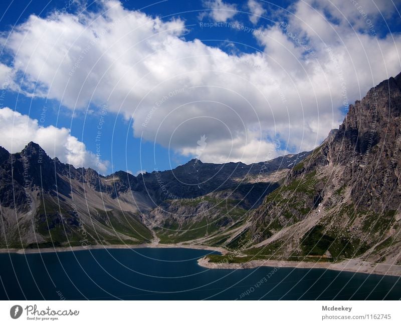 cotton ball Environment Nature Landscape Plant Water Sky Clouds Sun Summer Beautiful weather Warmth Grass Bushes Foliage plant Wild plant Alps Mountain Peak