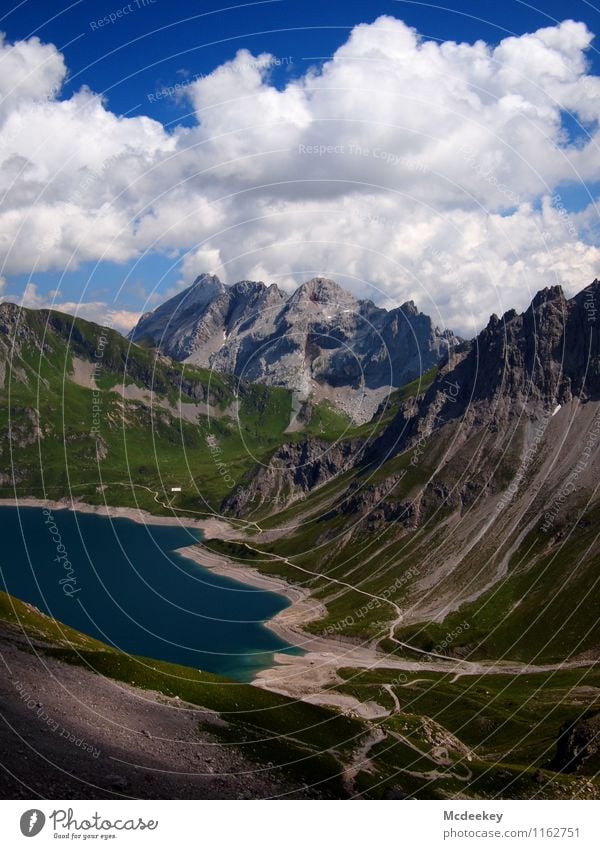 The thread on the bank edge Environment Nature Landscape Plant Water Sky Clouds Sun Summer Beautiful weather Warmth Grass Bushes Foliage plant Wild plant Alps