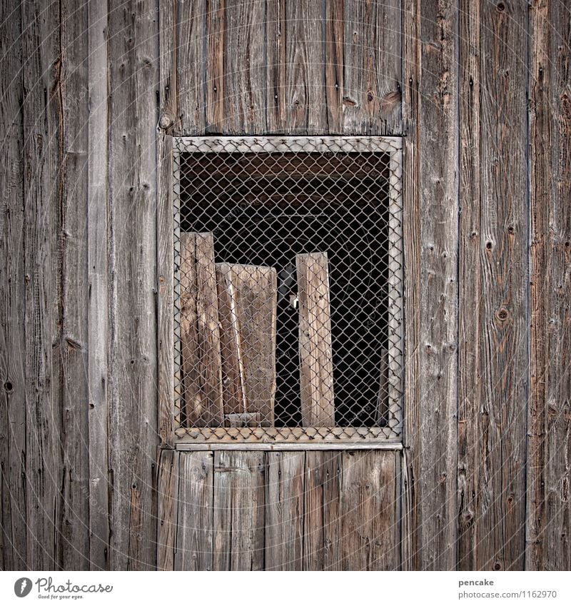 curfew Hut Window Wood Joist Wire netting Wooden facade Wooden hut Wait Captured Lean Calm Colour photo Subdued colour Exterior shot Close-up Detail Pattern