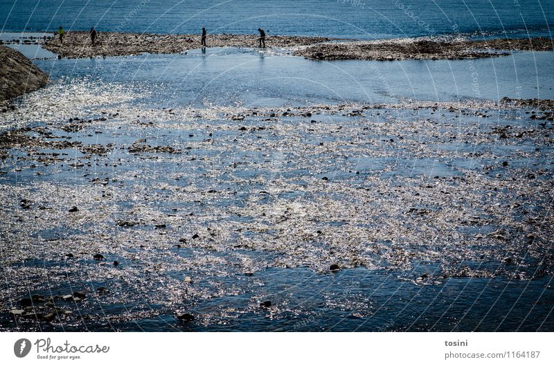 At the river Human being Blue Water River bank Mouth of a river Current Swimming & Bathing Lakeside Summer vacation Colour photo Exterior shot Copy Space bottom