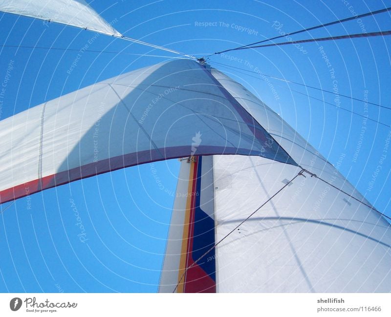 abstract sailing Watercraft Yacht Easy Ease Airy Cloth Sailing ship Sailboat Catamaran Exterior shot Aquatics Blue Sky price Sea Ship Rag Wind Beautiful weather