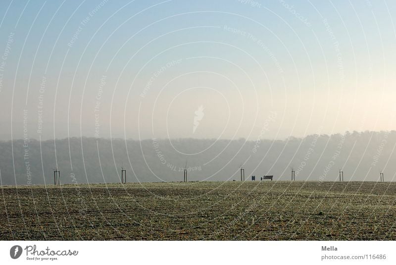 resting place Panorama (View) Tree Row of trees Far-off places Calm Air Breathe Fresh Winter Grass Meadow Wastepaper basket Trash container Forest Sapling Fog