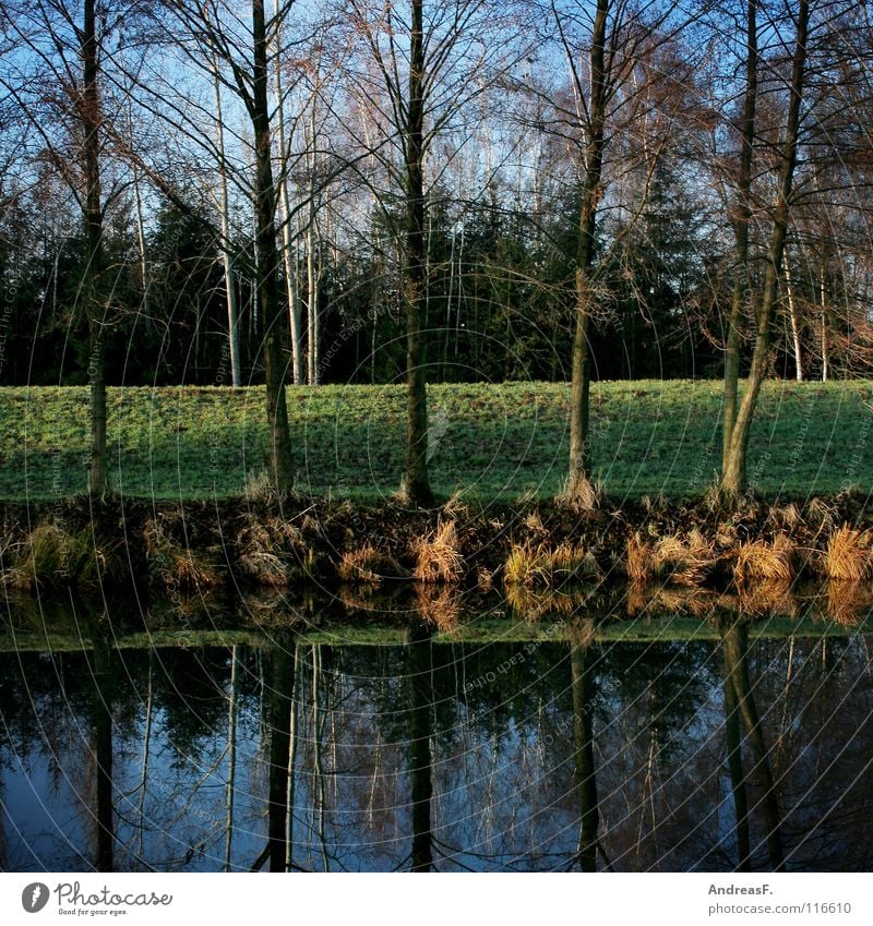 Let's go across the lake. 5 Mirror Reflection River bank Tree Geometry Lake Surface of water Dike Water reflection Symmetry Green Above water Autumn Brook