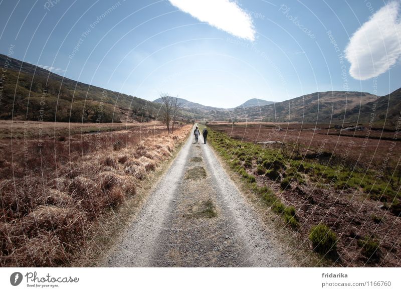 hiking in Ireland Hiking Human being 2 Clouds Spring Drought Wild plant Meadow Field Hill Mountain Lanes & trails Backpack Hiking boots Going Carrying Together