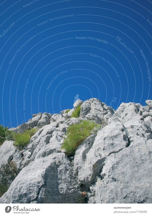 grey&blue&green Gray Green Rock Sky blue Large Corner Top Climbing Overgrown Tall Stony Croatia Mountain Blue Stone Plant Sharp-edged Above Upward no way Sparse