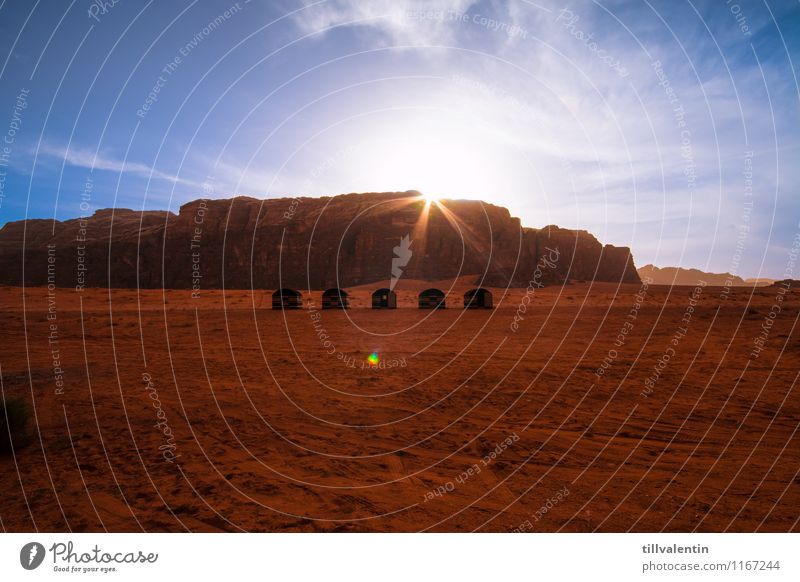 desert camp Desert Wadi Rum Jordan Asia Deserted Hut Tent camp Esthetic Hot Bright Blue Gold Orange Pink Red Moody Freedom Leisure and hobbies Nature