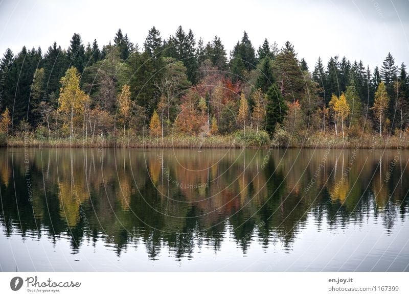 Symmetrical Vacation & Travel Environment Nature Landscape Plant Sky Autumn Forest Lake Romance Serene Calm Hope Belief Sadness Grief Idyll Climate Symmetry