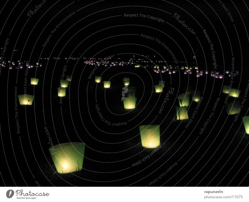 candle field Tea warmer candle Candle Leisure and hobbies festival of lights field of lights