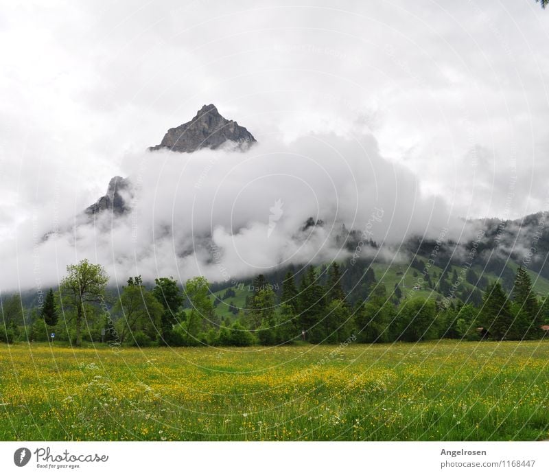 cloud covers Nature Landscape Clouds Summer Weather Grass Mountain Peak Emotions Moody Esthetic Uniqueness Relaxation Experience Freedom Leisure and hobbies